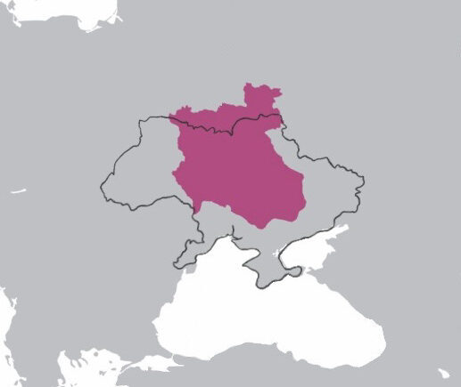 Ucraina Etmanato
